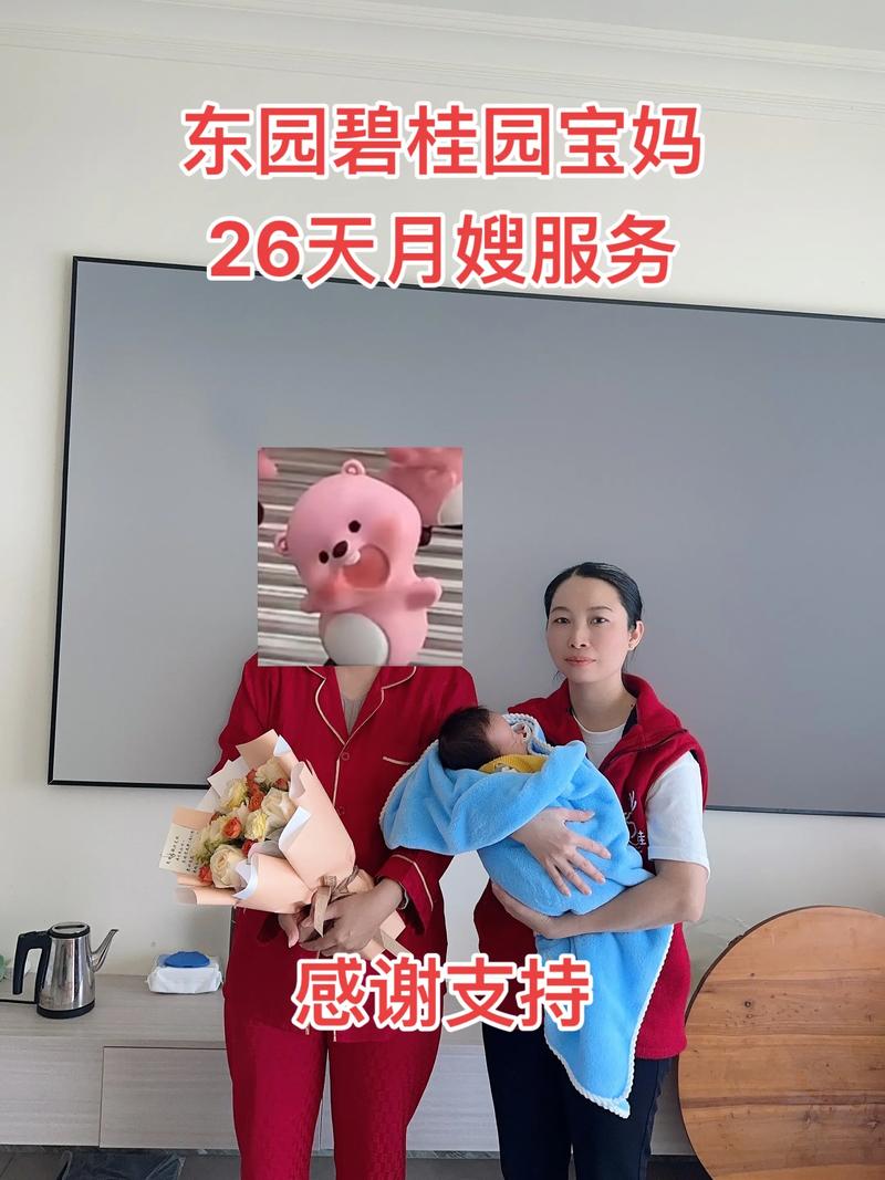合肥家政：城市生活贴心助手的兴起与变迁